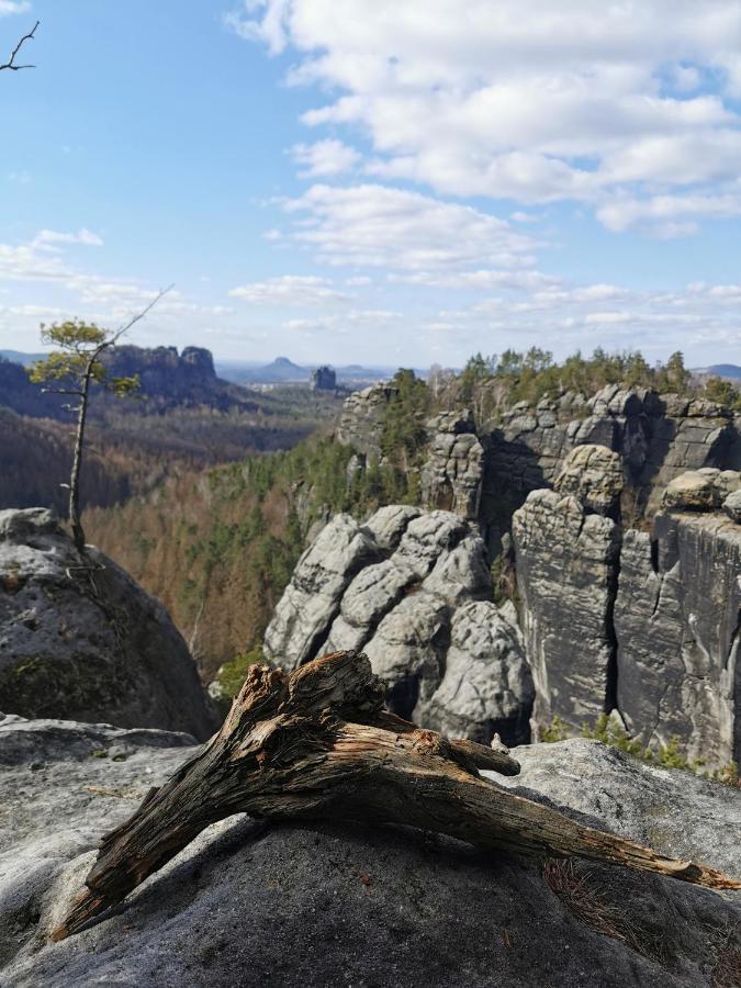 Tinyroom Mit Ausblick Königstein an der Elbe Buitenkant foto