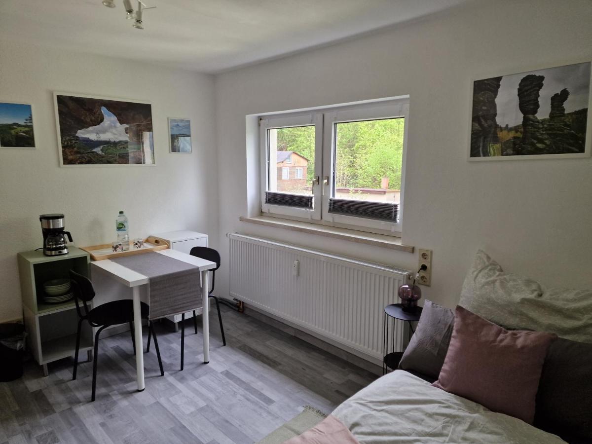 Tinyroom Mit Ausblick Königstein an der Elbe Buitenkant foto