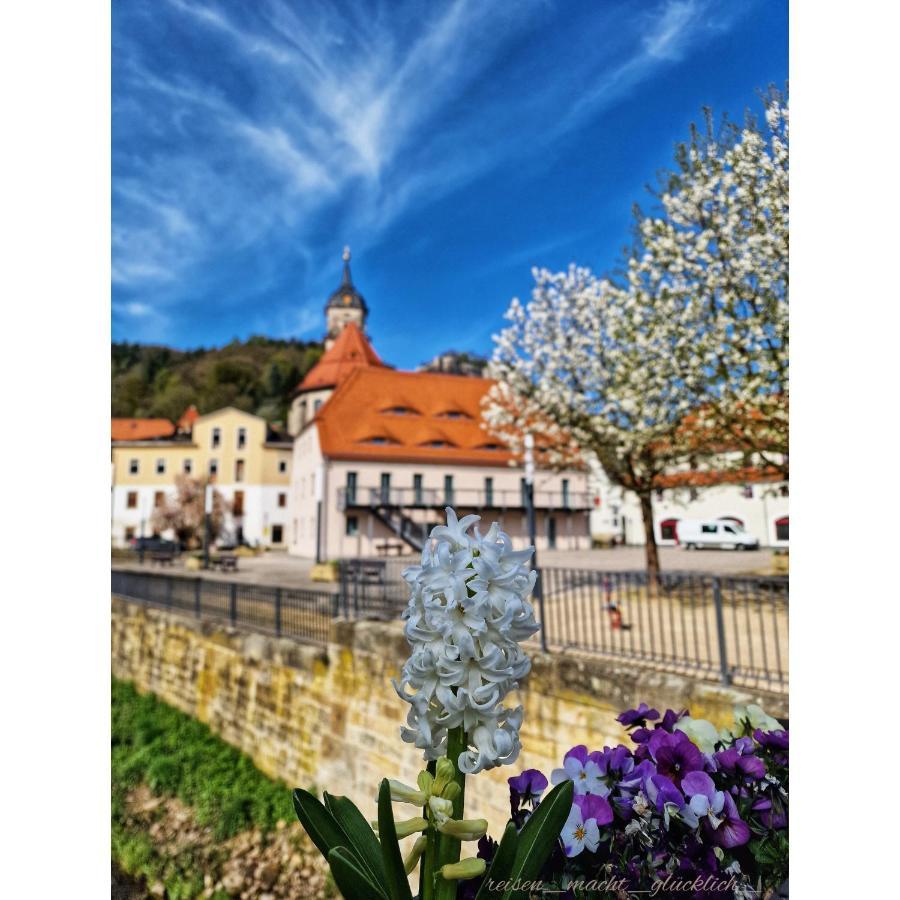 Tinyroom Mit Ausblick Königstein an der Elbe Buitenkant foto